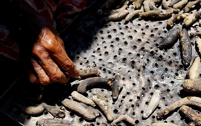 Foto-Foto Aktivitas di Kampung Pengembara Laut 