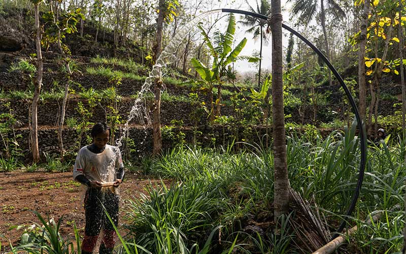 Potret Para Relawan Mencari Sumber Mata Air di Sungai Bawah Tanah Untuk Atasi Krisis Air Bersih di Yogyakarta