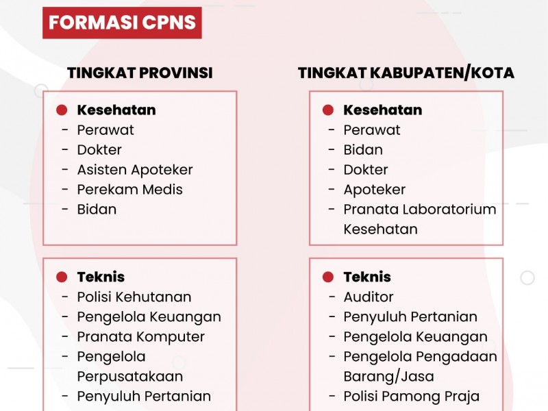 syarat pendaftaran cpns tahun ini