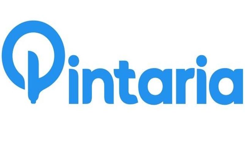 pintaria