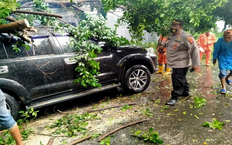 Jakarta Diguyur Hujan Lebat, Foto-Foto Pohon Tumbang di Kalimalang dan Permata Hijau