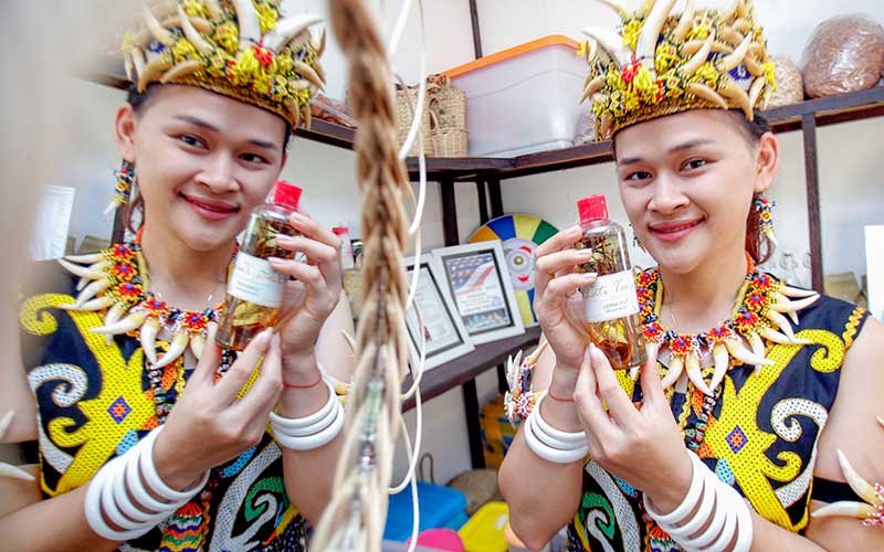 Suku Dayak Membuat Racikan Minuman Untuk Kesehatan