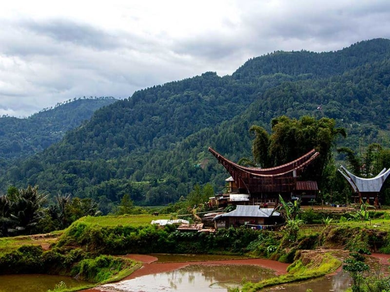 Ritual Manene Suku Toraja, Dari Leluhur Untuk Leluhur