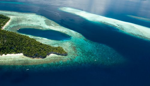 tanjung kri raja ampat