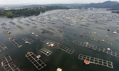 Keramba Jaring Apung Waduk Jatiluhur