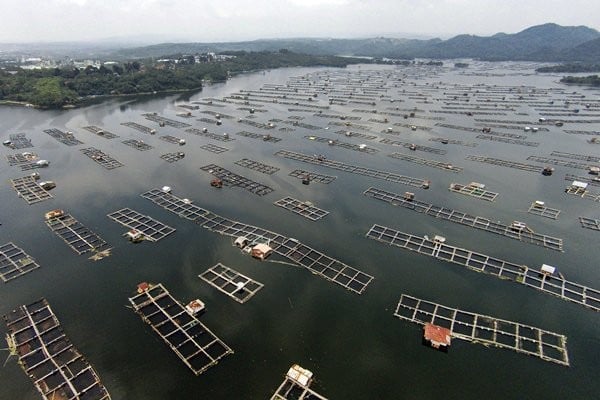 Keramba Jaring Apung Waduk Jatiluhur