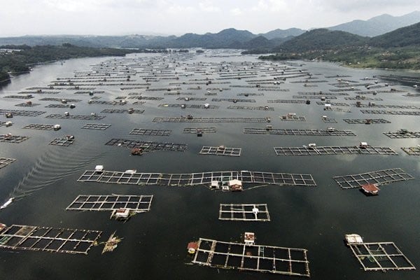 Keramba Jaring Apung Waduk Jatiluhur