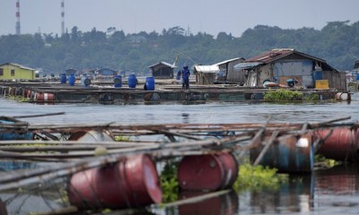 Keramba Jaring Apung Waduk Jatiluhur