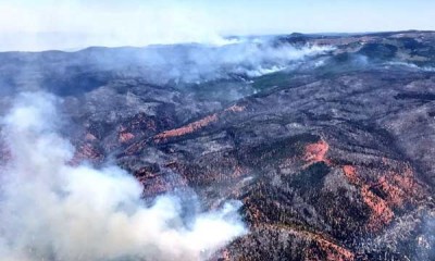 Kebakaran Hutan di Utah, AS, 50.000 Ha Ludes Terbakar.