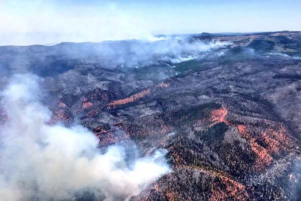 Kebakaran Hutan di Utah, AS, 50.000 Ha Ludes Terbakar.