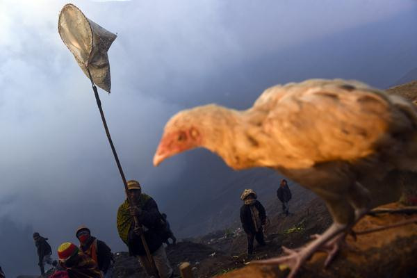 Tradisi Yadnya Kasada di Gunung Bromo