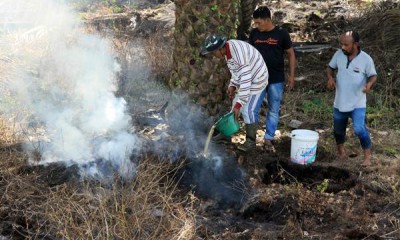 Kebakaran Landa 60 Hektare Lahan Gambut di Aceh