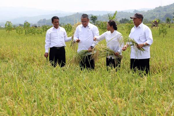 Himbara Luncurkan Kartu Tani