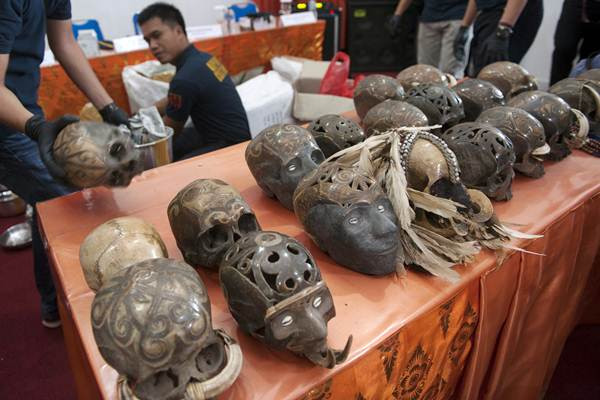 Tengkorak Manusia Papua Ini Akan Diselundupkan ke Belanda