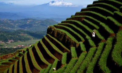 Lahan Pertanian Terasering di Majalengka