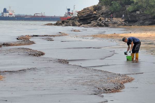 Pesisir Pantai Balikpapan Tercemar Tumpahan Minyak