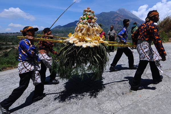 Kirab Kerbau Suro Merbabu Merapi 