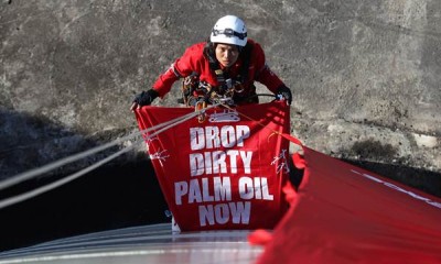 Aksi Boomerang dan Greenpeace di PT Multi Nabati Sulawesi