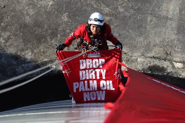 Aksi Boomerang dan Greenpeace di PT Multi Nabati Sulawesi