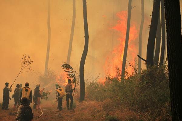 Kebakaran Hutan Gunung Ciremai