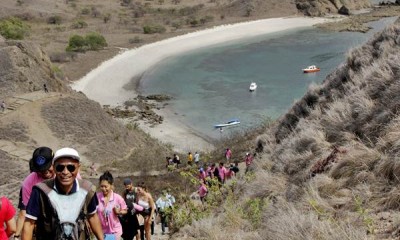 Wisata Puncak Bukit Pulau Padar NTT