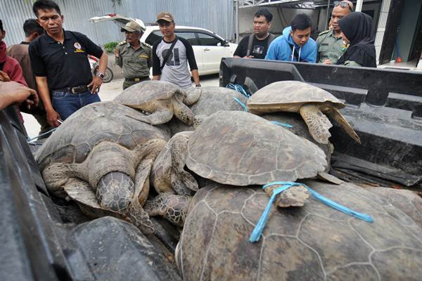 Operasi Tumbuhan dan Satwa Liar