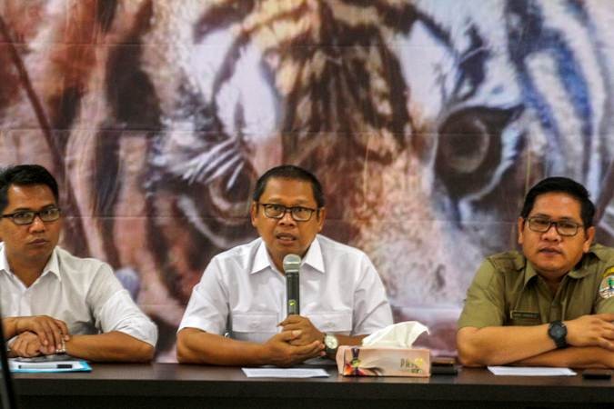 Penyelamatan Harimau Sumatra Terkena Jerat Pemburu