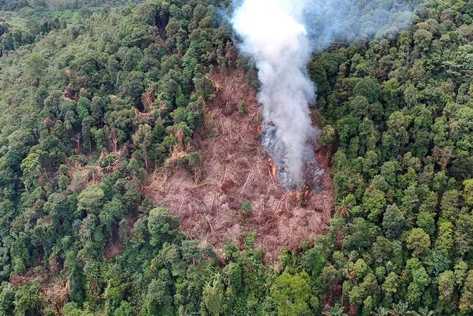 Pembakaran Lahan Baru Masih Marak Dilakukan