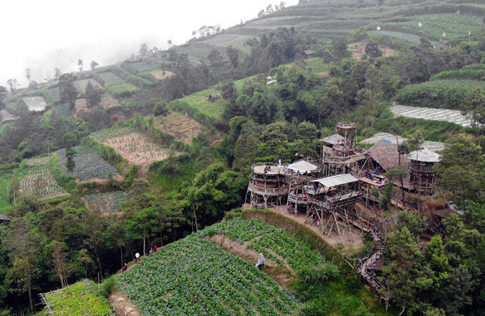 WISATA OMAH BAMBU