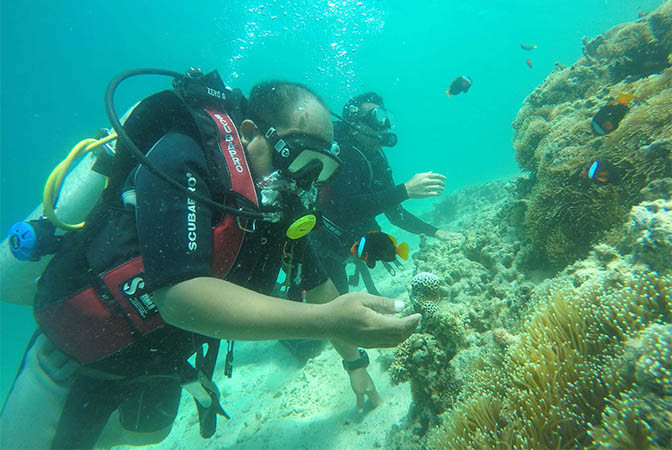 WISATA PULAU