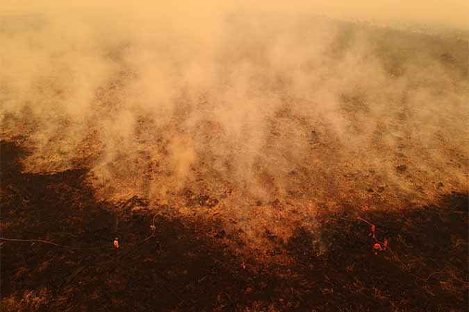 Kebakaran Lahan Gambut di Muarojambi 