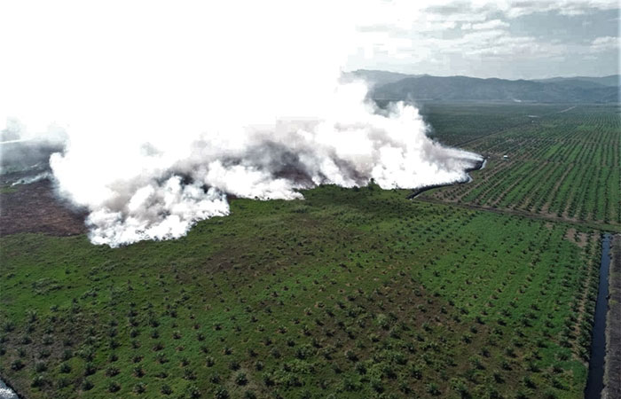 KEBAKARAN LAHAN PERKEBUNAN SAWIT