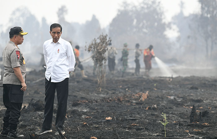 KEBAKARAN HUTAN DAN LAHAN