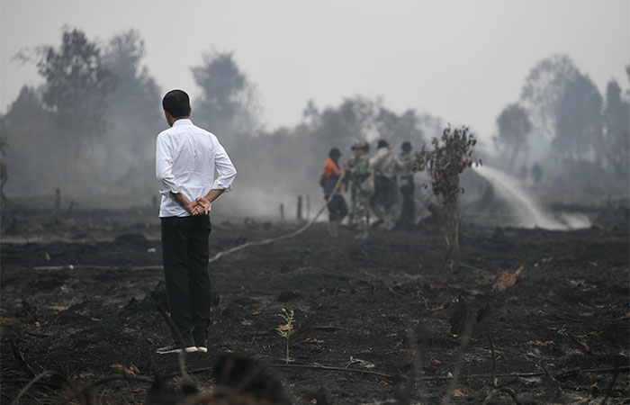 KEBAKARAN HUTAN DAN LAHAN