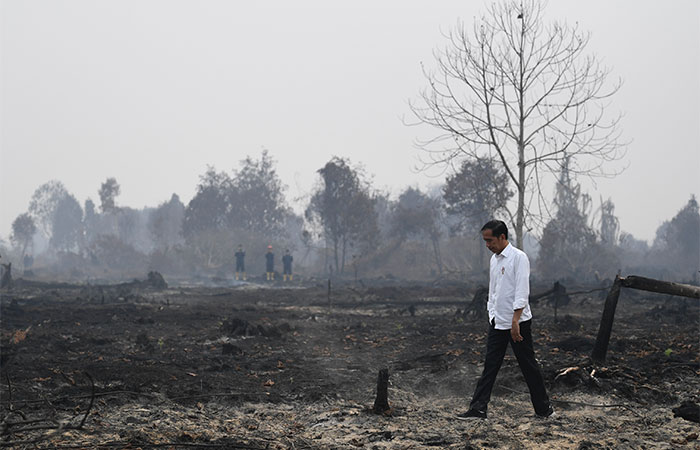 KEBAKARAN HUTAN DAN LAHAN