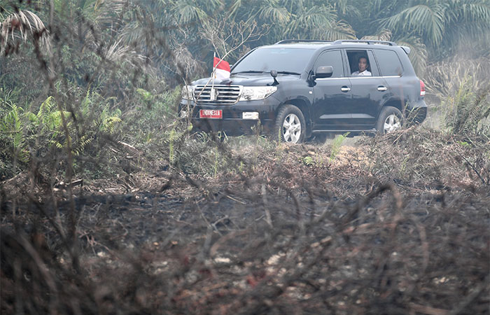 KEBAKARAN HUTAN DAN LAHAN