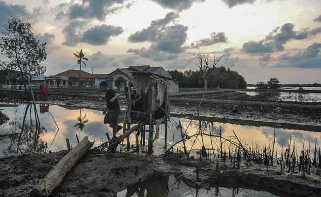Abrasi di Kampung Beting, Bekasi
