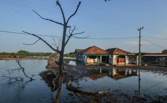 Abrasi di Kampung Beting, Bekasi