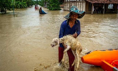 BANJIR AKIBAT TANGGUL JEBOL DI DEMAK 