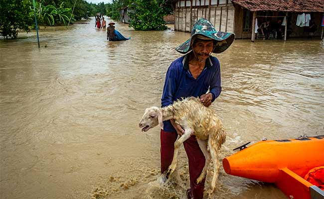 BANJIR AKIBAT TANGGUL JEBOL DI DEMAK 