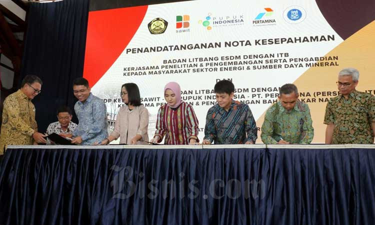 PENGEMBANGAN BAHAN BAKAR NABATI