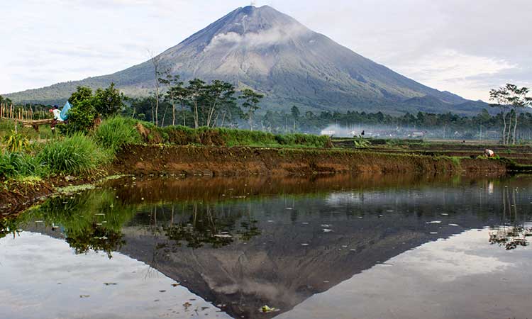 GUNUNG SUMERU KELUARKAN LAVA PIJAR