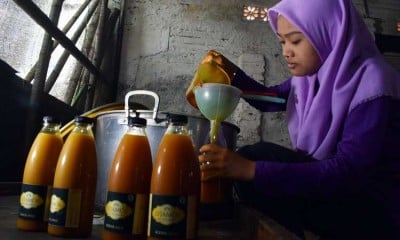 PERMINTAAN JAMU TRADISIONAL MENINGKAT