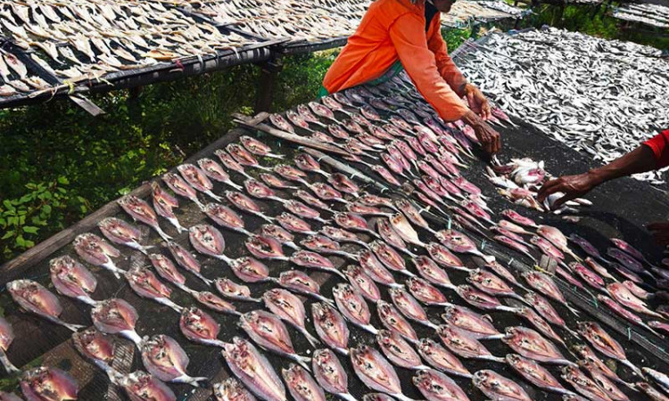 HARGA IKAN ASIN MELONJAK
