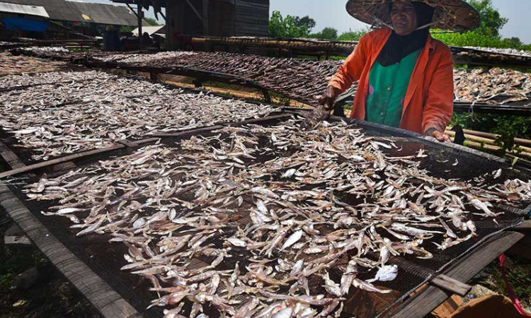 HARGA IKAN ASIN MELONJAK