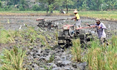 PERSIAPAN MUSIM TANAM PADI