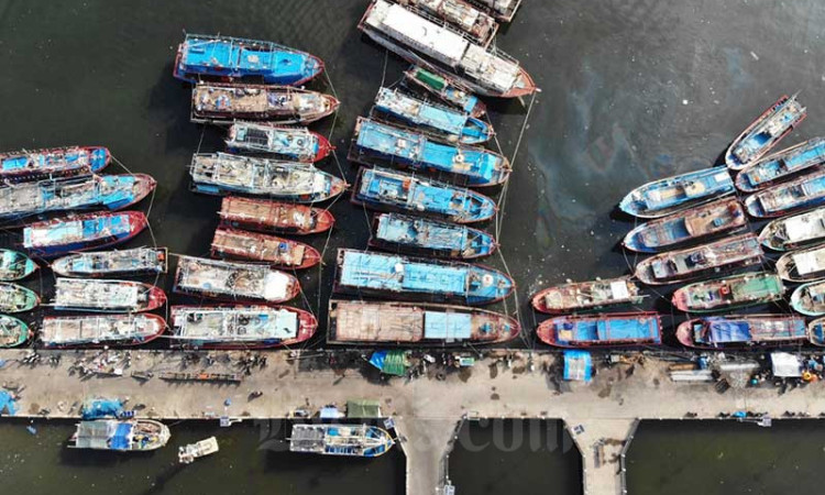 OVERSUPPLY IKAN DI PELABUHAN