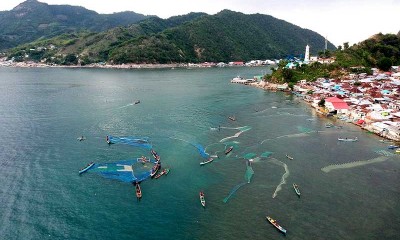 MUSIM IKAN NIKE DI GORONTALO