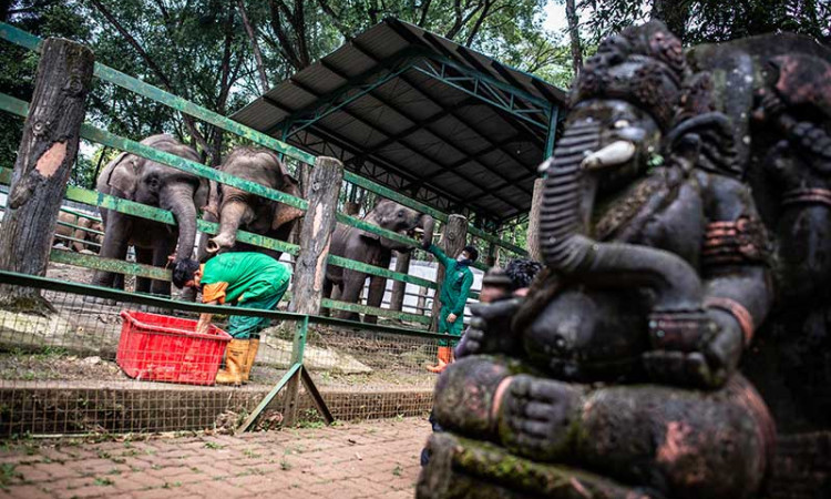 PERAWATAN SATWA DI RAGUNAN