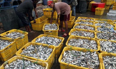 PERMINTAAN PRODUKSI PERIKANAN TINGGI